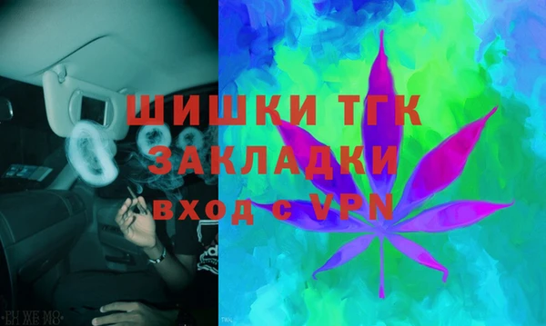 гашик Новозыбков