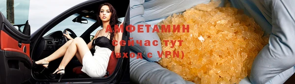гашик Новозыбков