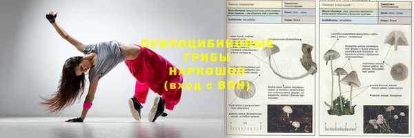 гашиш Новодвинск