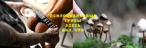 гашик Новозыбков