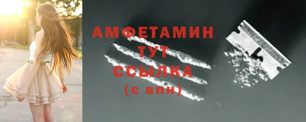 гашик Новозыбков