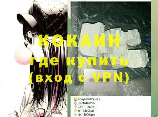 гашик Новозыбков
