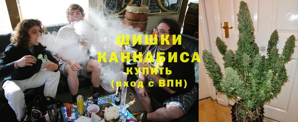 гашик Новозыбков
