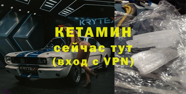 гашик Новозыбков