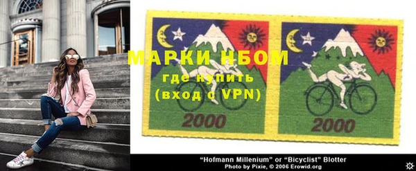 гашик Новозыбков
