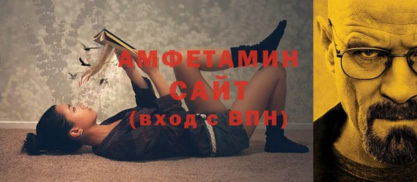 гашик Новозыбков