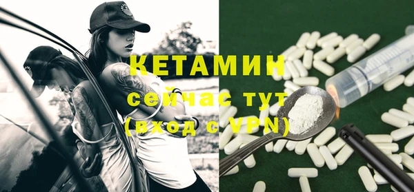 гашик Новозыбков