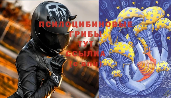 гашиш Новодвинск