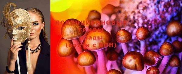 гашиш Новодвинск