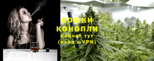 гашик Новозыбков