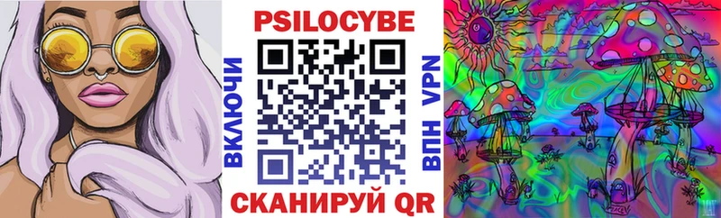Галлюциногенные грибы Psilocybe  где найти наркотики  Сорск 